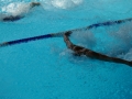 P1000321