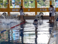 IMG-20180512-WA0003