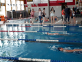IMG-20180512-WA0004