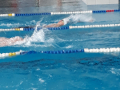 IMG-20180512-WA0007