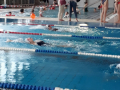 IMG-20180512-WA0013
