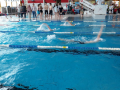 IMG-20180512-WA0017