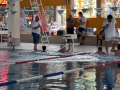 IMG-20180512-WA0018