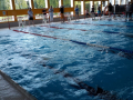 IMG-20180512-WA0037