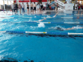 IMG-20180512-WA0039