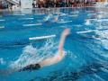 IMG-20180512-WA0042