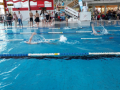 IMG-20180512-WA0044