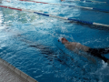 IMG-20180512-WA0045