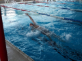 IMG-20180512-WA0046