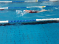 IMG-20180512-WA0047