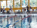 IMG-20180512-WA0056