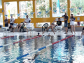 IMG-20180512-WA0058