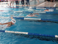 IMG-20180512-WA0061
