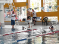 IMG-20180512-WA0066