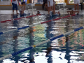 IMG-20180512-WA0084