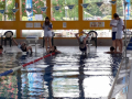 IMG-20180512-WA0088