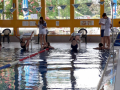 IMG-20180512-WA0089