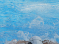 DSCN3634