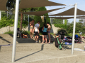 DSCN3662