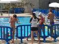 IMG-20180616-WA0002