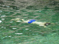 DSCN1240_1