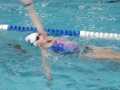 IMG-20210217-WA0002