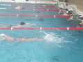 IMG-20210217-WA0006