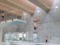 IMG-20210217-WA0013