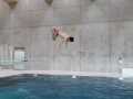 IMG-20210217-WA0017