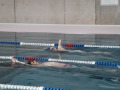 IMG-20210416-WA0009