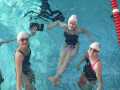 IMG-20210416-WA0029