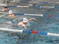 IMG-20210416-WA0042