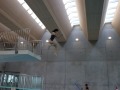 IMG-20210416-WA0081
