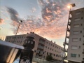IMG20221025080641