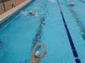 IMG-20240409-WA0007