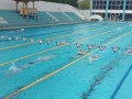IMG-20240409-WA0014