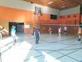 voley