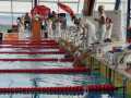 IMG-20191104-WA0011