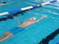 IMG-20191104-WA0045