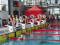 IMG-20191104-WA0056