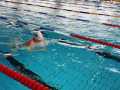 IMG-20191104-WA0063