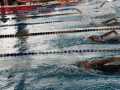IMG-20191104-WA0064