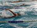 IMG-20191104-WA0065
