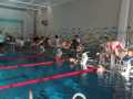 IMG-20191013-WA0053