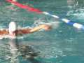 IMG-20191013-WA0062
