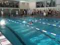 IMG-20191013-WA0068