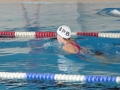 P1000137
