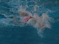 image00013
