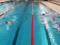 IMG-20201202-WA0001