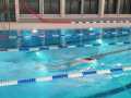 IMG-20201202-WA0007